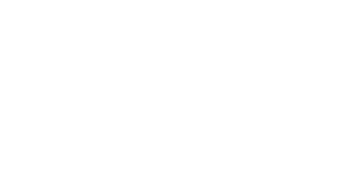 Born In Euphoria